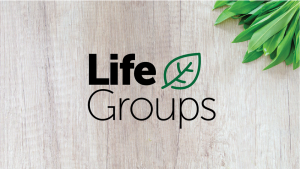 Life Groups