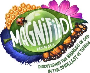 Magnified Logo Color