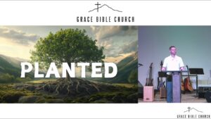 Planted In Christ Featured Image