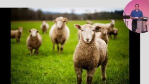 Our Flock Josh White August 21, 2022