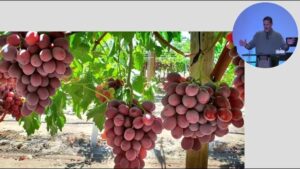 Roadblocks Josh White November 12, 2023