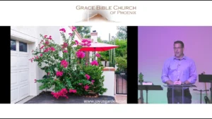 How To Kill A Tree? — Josh White — Feb 13, 2022